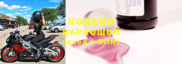 ГАЛЛЮЦИНОГЕННЫЕ ГРИБЫ Коряжма