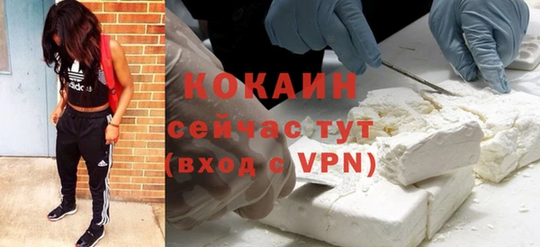 гидра Костерёво