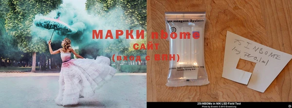 ГАЛЛЮЦИНОГЕННЫЕ ГРИБЫ Коряжма