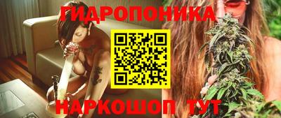 крисы Заводоуковск