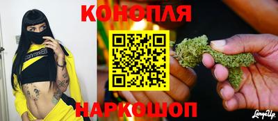 крисы Заводоуковск