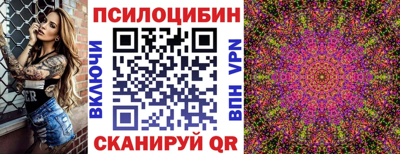 Галлюциногенные грибы Psilocybe  наркотики  OMG как зайти  Мелеуз 