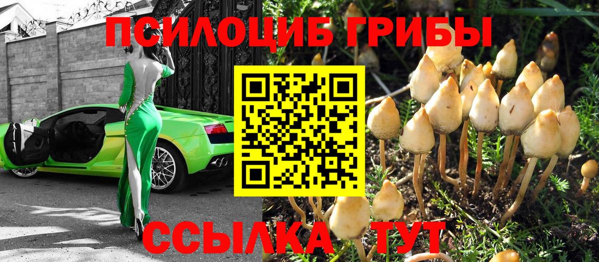 NBOMe  Alpha-PVP СОЛЬ   ГАШ  Вход с VPN  Гашиш  КОКАИН  Мелеуз  Меф МЯУ МЯУ  