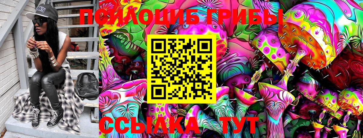 Галлюциногенные грибы Magic Shrooms  Мелеуз 