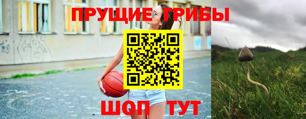 Псилоцибиновые грибы GOLDEN TEACHER  Вход с VPN  Мелеуз  Галлюциногенные грибы Psilocybine cubensis 